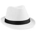 B630 Fedora