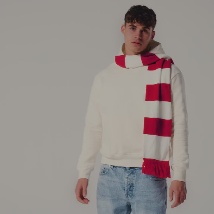 B479 Stadium Scarf